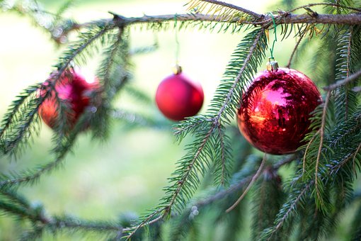 Immagini Dopo Natale.Alberi Di Natale Come Sceglierli E Addobbarli E Cosa Farne Dopo Le Feste