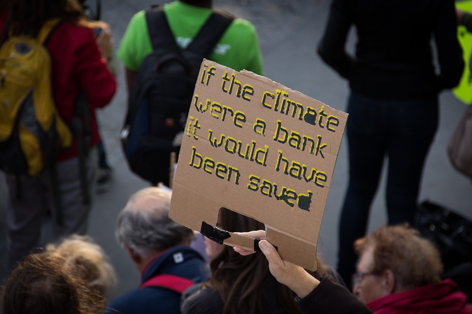 manifestazione per il clima